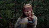 Still from Bird Box (Image via YouTube/@netflix)